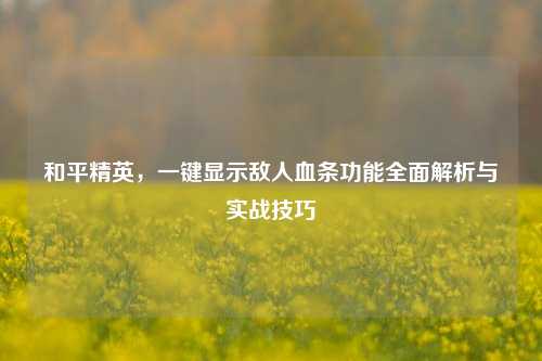 和平精英，一键显示敌人血条功能全面解析与实战技巧