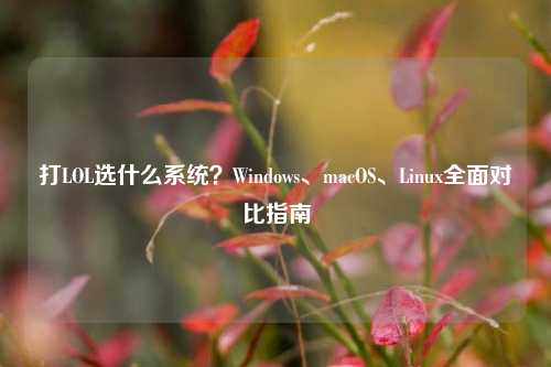 打LOL选什么系统?Windows、macOS、Linux全面对比指南