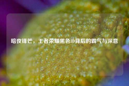 暗夜锋芒，王者荣耀黑色ID背后的霸气与深意