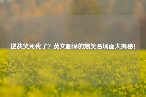 逆战笑死我了？英文翻译的爆笑名场面大揭秘！