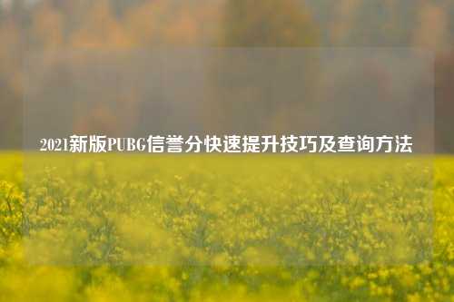 2021新版PUBG信誉分快速提升技巧及查询 *** 