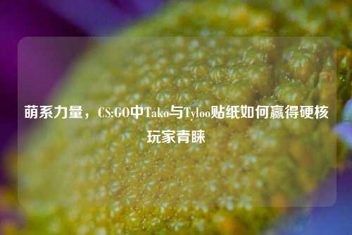 萌系力量，CS:GO中Tako与Tyloo贴纸如何赢得硬核玩家青睐