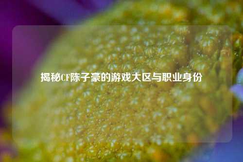 揭秘CF陈子豪的游戏大区与职业身份