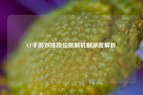 CF手游双排段位限制机制深度解析