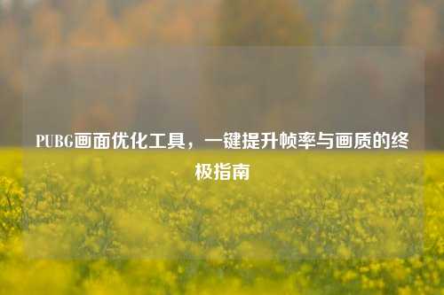 PUBG画面优化工具，一键提升帧率与画质的终极指南