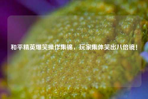 和平精英爆笑操作集锦，玩家集体笑出八倍镜！