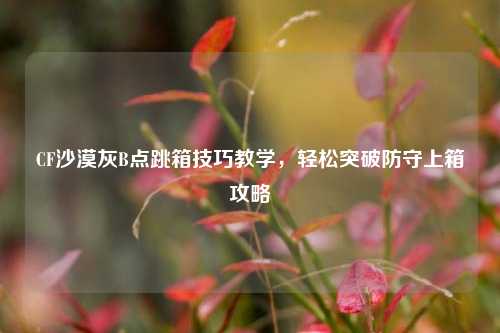 CF沙漠灰B点跳箱技巧教学，轻松突破防守上箱攻略