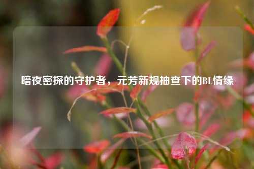 暗夜密探的守护者，元芳新规抽查下的BL情缘