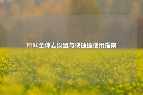 PUBG全体麦设置与快捷键使用指南