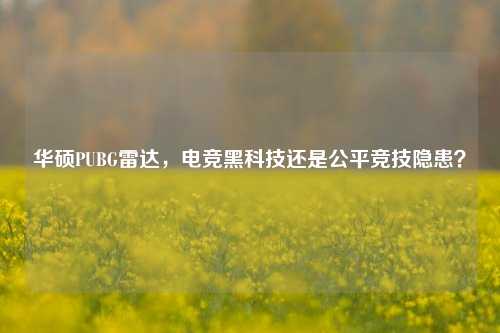 华硕PUBG雷达，电竞黑科技还是公平竞技隐患？