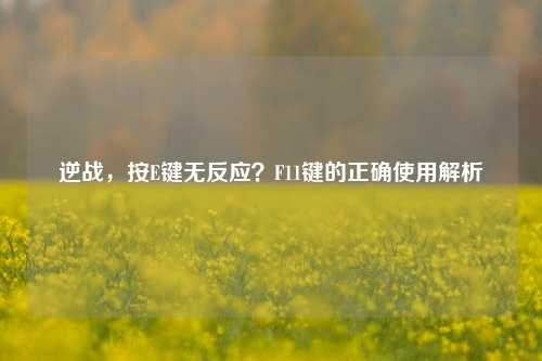 逆战，按E键无反应？F11键的正确使用解析