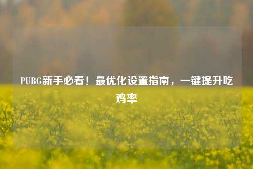 PUBG新手必看！更优化设置指南，一键提升吃鸡率