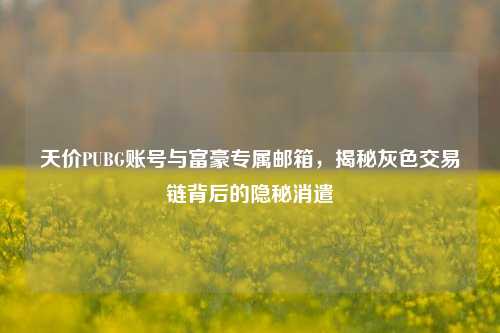 天价PUBG账号与富豪专属邮箱，揭秘灰色交易链背后的隐秘消遣