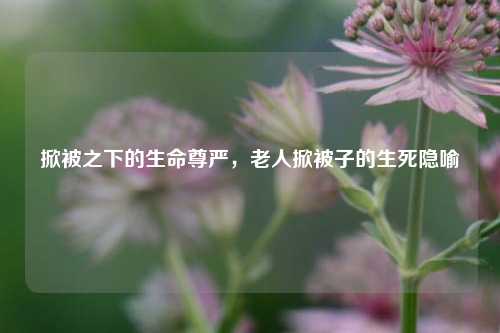 掀被之下的生命尊严，老人掀被子的生死隐喻