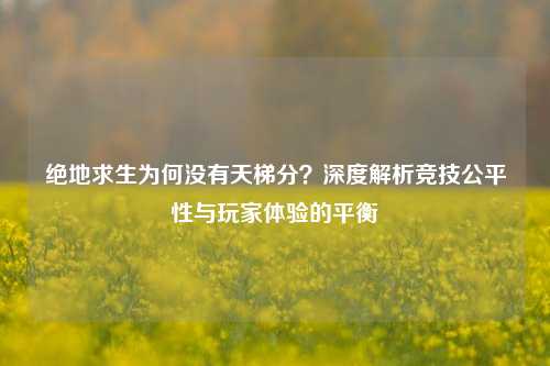 绝地求生为何没有天梯分？深度解析竞技公平性与玩家体验的平衡