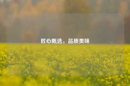 匠心甄选，品质美味