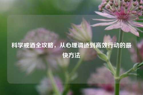 科学戒酒全攻略，从心理调适到高效行动的最快 *** 