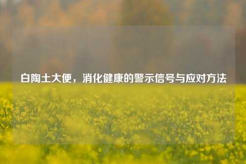 白陶土大便，消化健康的警示信号与应对 *** 