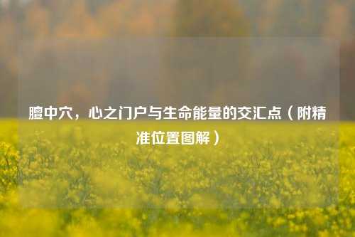 膻中穴，心之门户与生命能量的交汇点（附精准位置图解）