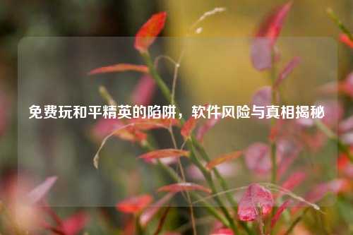 免费玩和平精英的陷阱，软件风险与真相揭秘