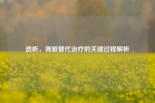 透析，肾脏替代治疗的关键过程解析