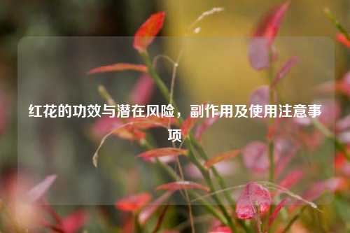红花的功效与潜在风险，副作用及使用注意事项