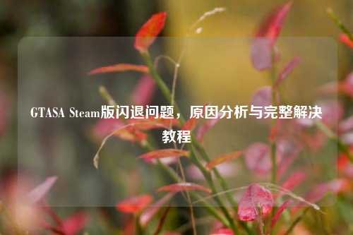 GTASA Steam版闪退问题，原因分析与完整解决教程