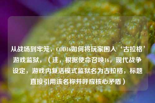 从战场到牢笼，COD16如何将玩家困入‘古拉格’游戏监狱，（注，根据使命召唤16，现代战争设定，游戏内复活模式监狱名为古拉格，标题直接引用该名称并呼应核心矛盾）