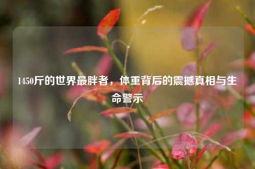 1450斤的世界最胖者，体重背后的震撼真相与生命警示