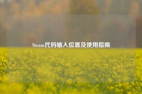 Steam代码输入位置及使用指南
