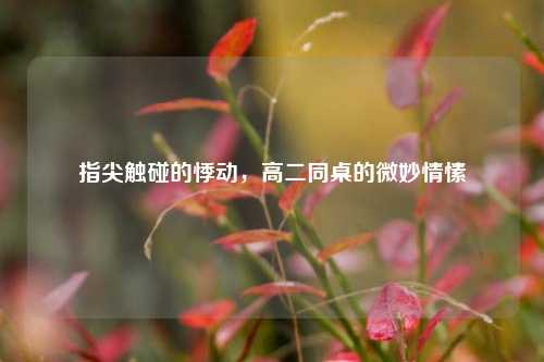 指尖触碰的悸动，高二同桌的微妙情愫