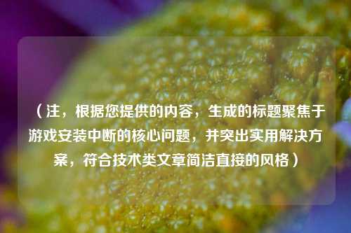 （注，根据您提供的内容，生成的标题聚焦于游戏安装中断的核心问题，并突出实用解决方案，符合技术类文章简洁直接的风格）