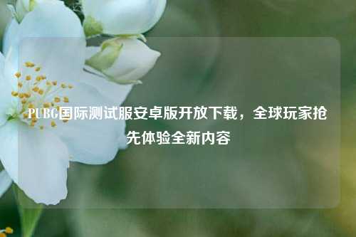 PUBG国际测试服安卓版开放下载，全球玩家抢先体验全新内容