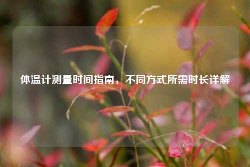 体温计测量时间指南，不同方式所需时长详解