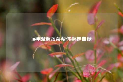 10种降糖蔬菜帮你稳定血糖