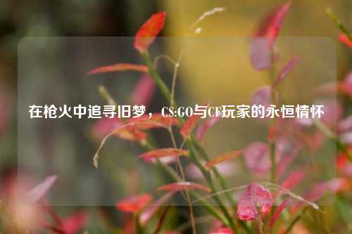 在枪火中追寻旧梦，CS:GO与CF玩家的永恒情怀