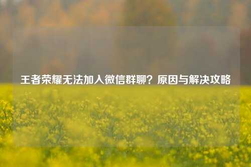 王者荣耀无法加入微信群聊？原因与解决攻略