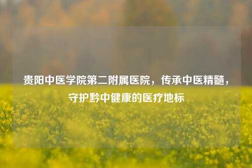 贵阳中医学院第二附属医院，传承中医精髓，守护黔中健康的医疗地标