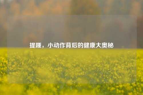 提踵，小动作背后的健康大奥秘