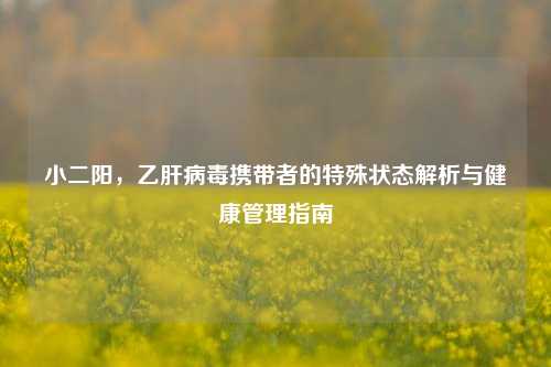 小二阳，乙肝病毒携带者的特殊状态解析与健康管理指南
