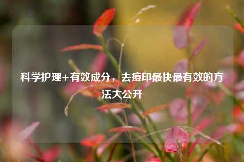 科学护理+有效成分，去痘印最快最有效的 *** 大公开