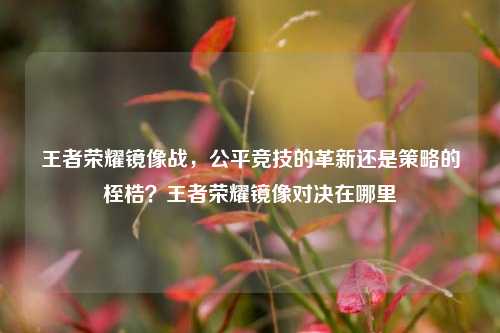 王者荣耀镜像战，公平竞技的革新还是策略的桎梏？王者荣耀镜像对决在哪里