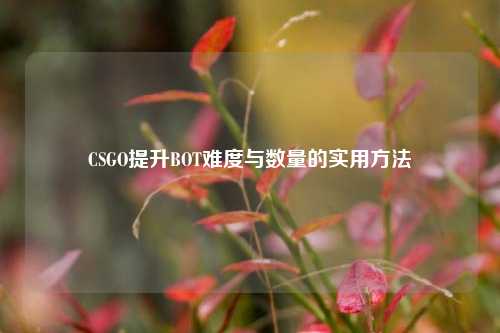 CSGO提升BOT难度与数量的实用 *** 