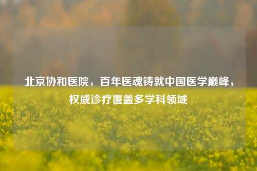 北京协和医院，百年医魂铸就中国医学巅峰，权威诊疗覆盖多学科领域