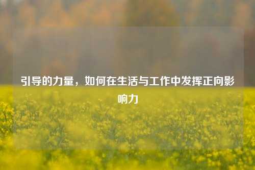 引导的力量，如何在生活与工作中发挥正向影响力