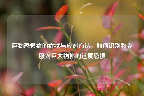 巨物恐惧症的症状与应对 *** ，如何识别和克服对巨大物体的过度恐惧