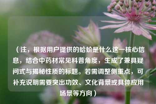 （注，根据用户提供的蛤蚧是什么这一核心信息，结合中药材常见科普角度，生成了兼具疑问式与揭秘性质的标题。若需调整侧重点，可补充说明需要突出功效、文化背景或具体应用场景等方向）