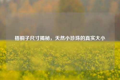 梧桐子尺寸揭秘，天然小珍珠的真实大小