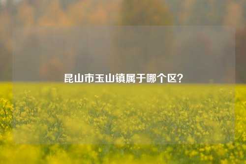 昆山市玉山镇属于哪个区？