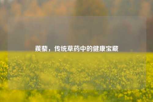 蒺藜，传统草药中的健康宝藏